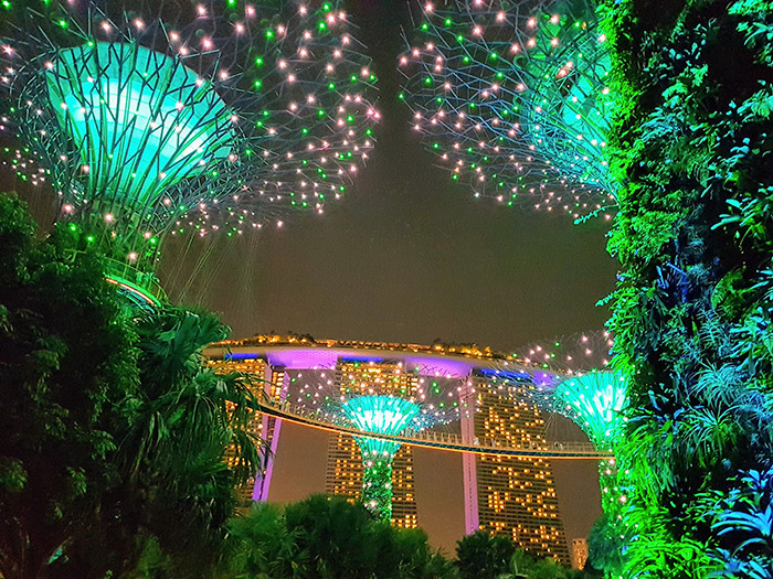 Gardens By the Bay, Singapore